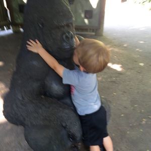 Meet your Posher, Cathy